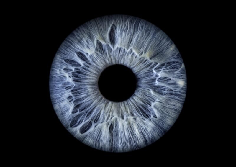 Single Iris Art - 3 effects - Image 2