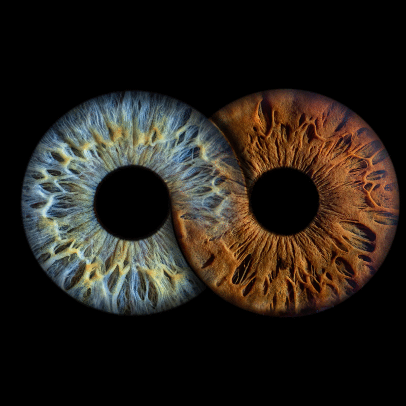 Couple Iris – Infinity