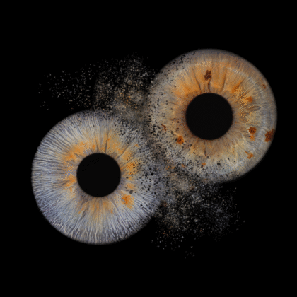 Double Iris explosion Art