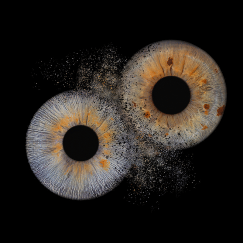 Double Iris explosion Art